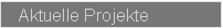 Textfeld: Aktuelle Projekte